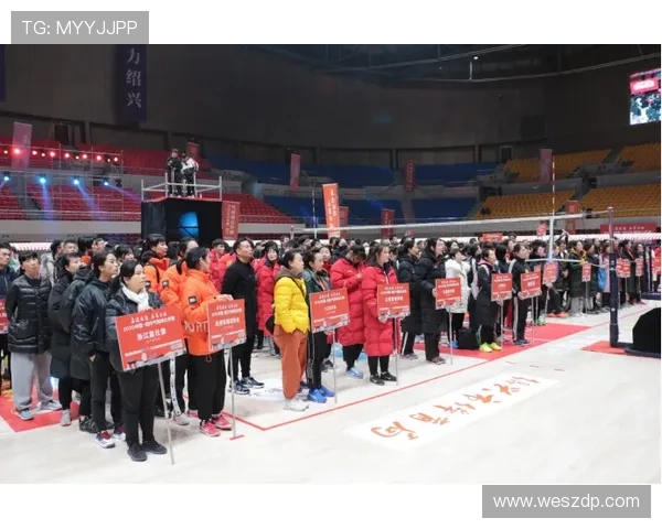 杭州排球队实力分析：聚焦他们的训练与比赛表现